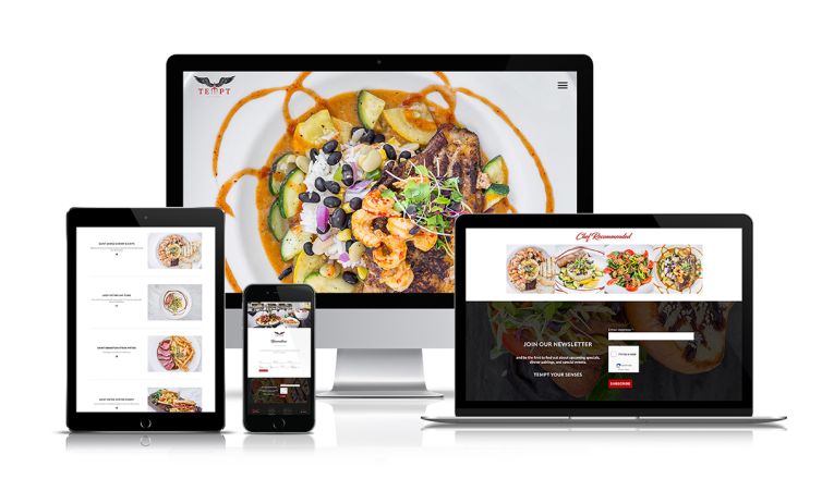 Website Design & Development - Design Portfolio - Palm Island Creative