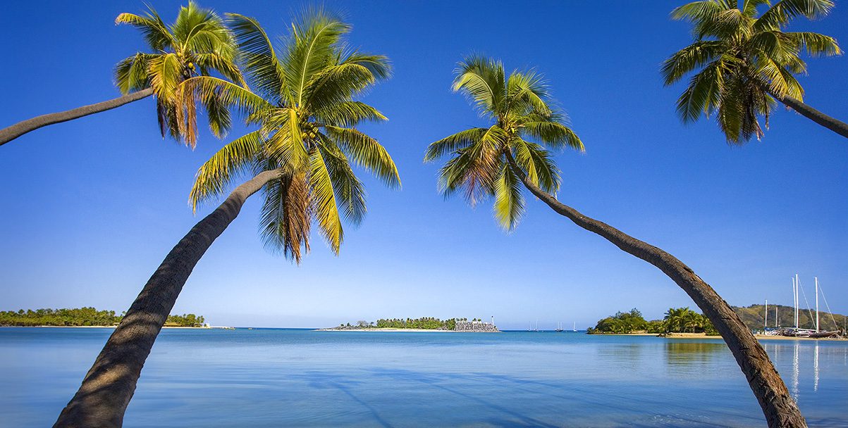 Investment Framework - Explore - Palm Island Creative